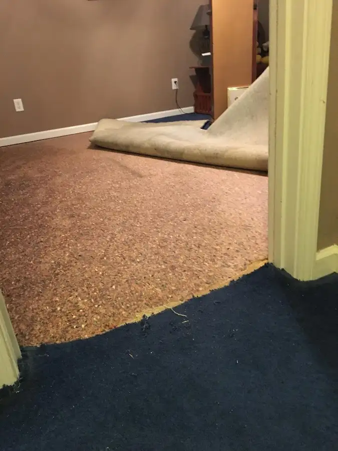 Carpet pad removal revealing water damage during Water Mitigation Services in Deltona
