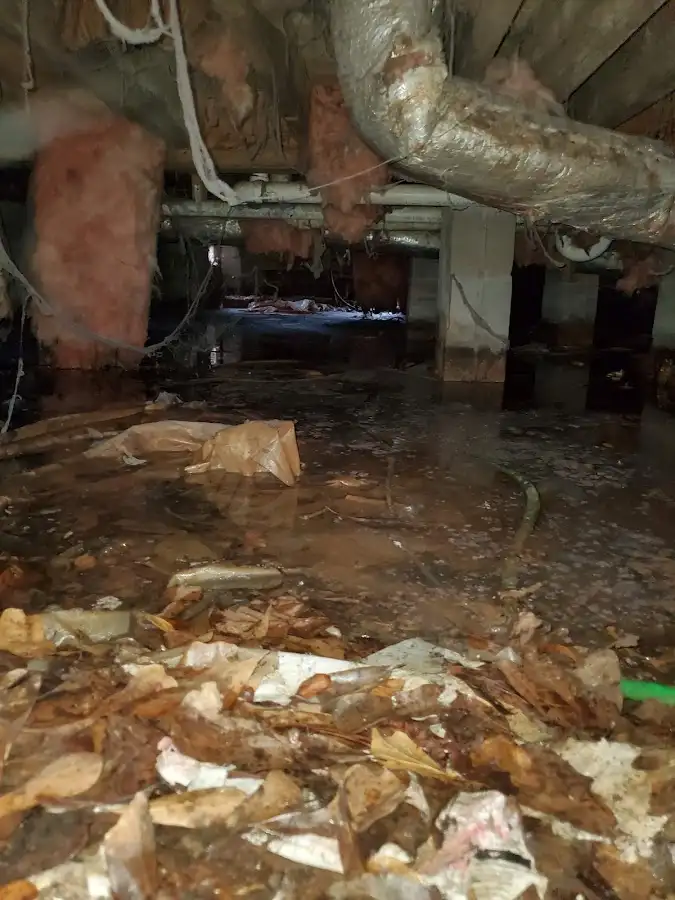 Crawl space flood assessment for Leak Detection & Repair in Deltona